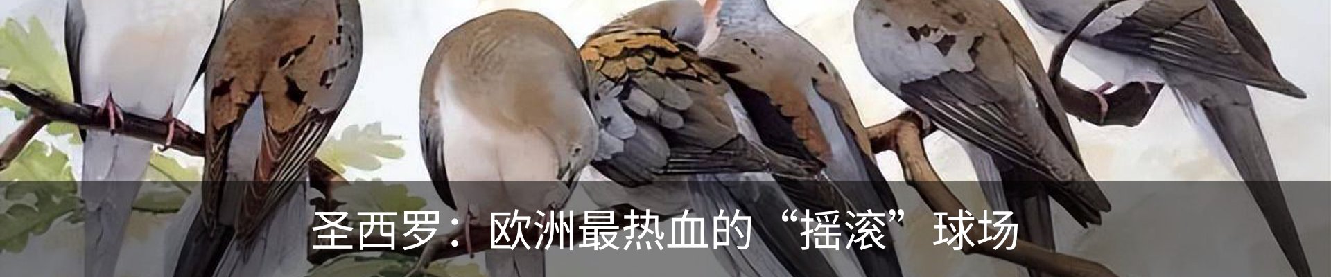 资讯动态